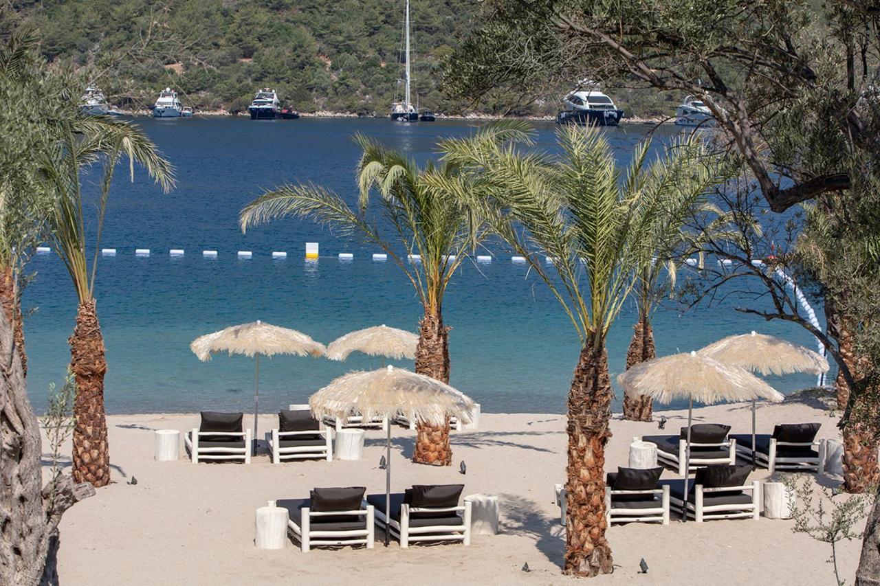 Akana Cennet Koyu Bodrum Golturkbuku